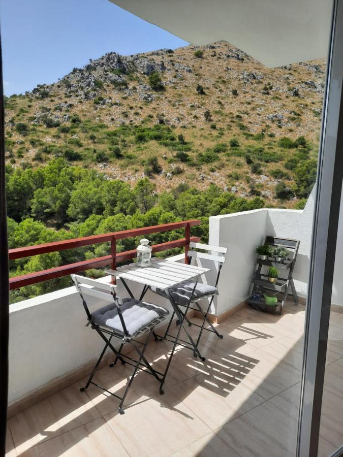 Cozy Estudio "Edificio Siesta 2" Lejlighed Alcudia  Eksteriør billede