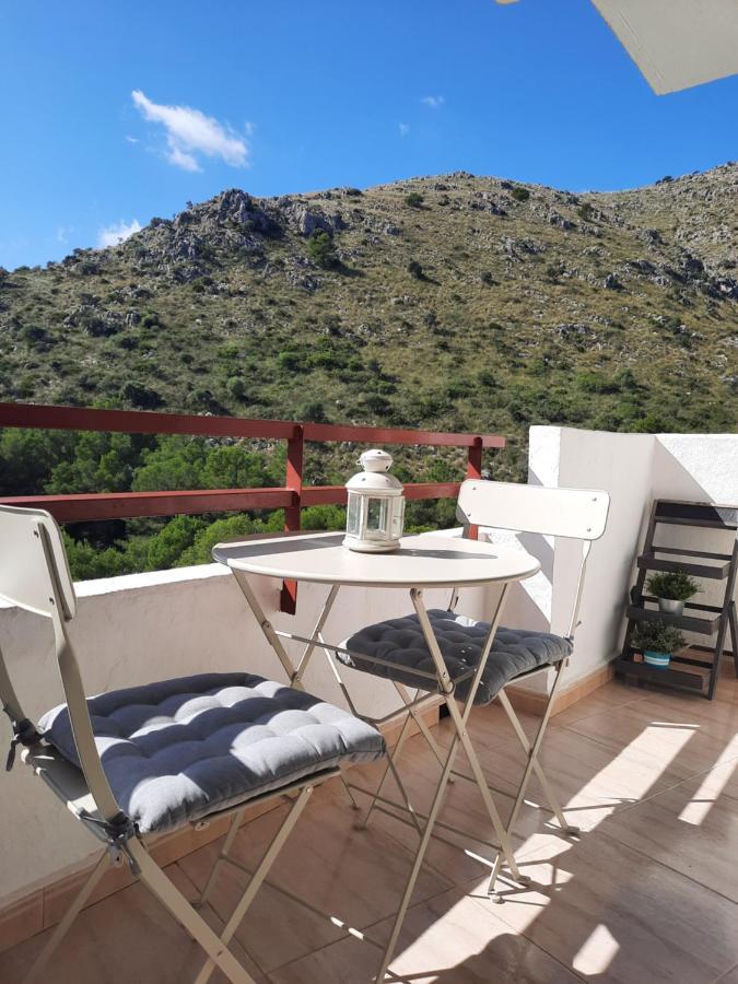 Cozy Estudio "Edificio Siesta 2" Lejlighed Alcudia  Eksteriør billede